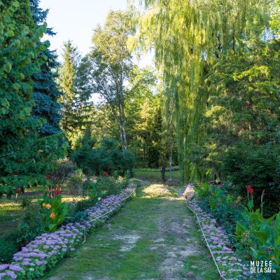 Fotografia nr 7